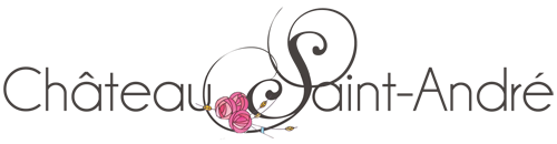 logo-chateau-vendee-saint-andre-horizontal