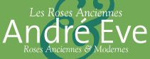 andre-eve-logo
